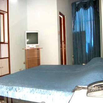 Hotel Horizon Palace, New Delhi 2